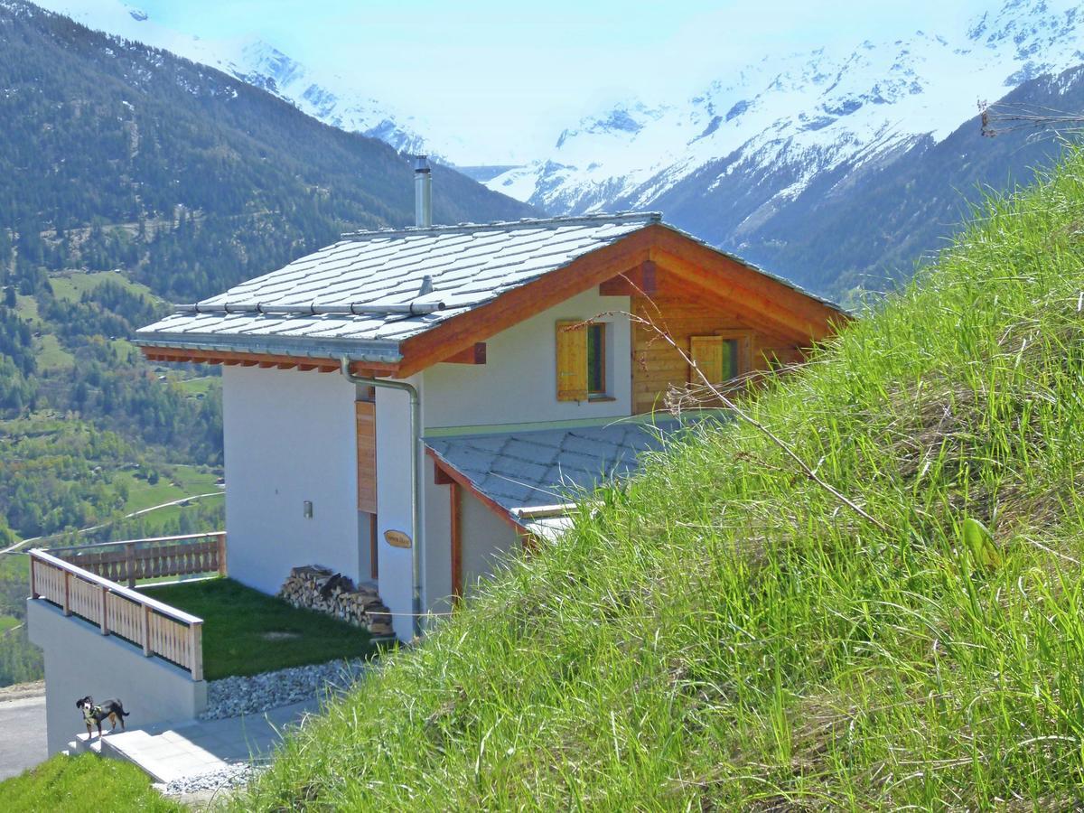 Mountain-View Chalet In Heremence With Terrace Ngoại thất bức ảnh
